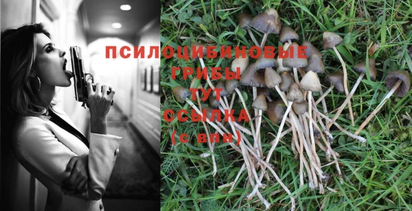 винт Остров